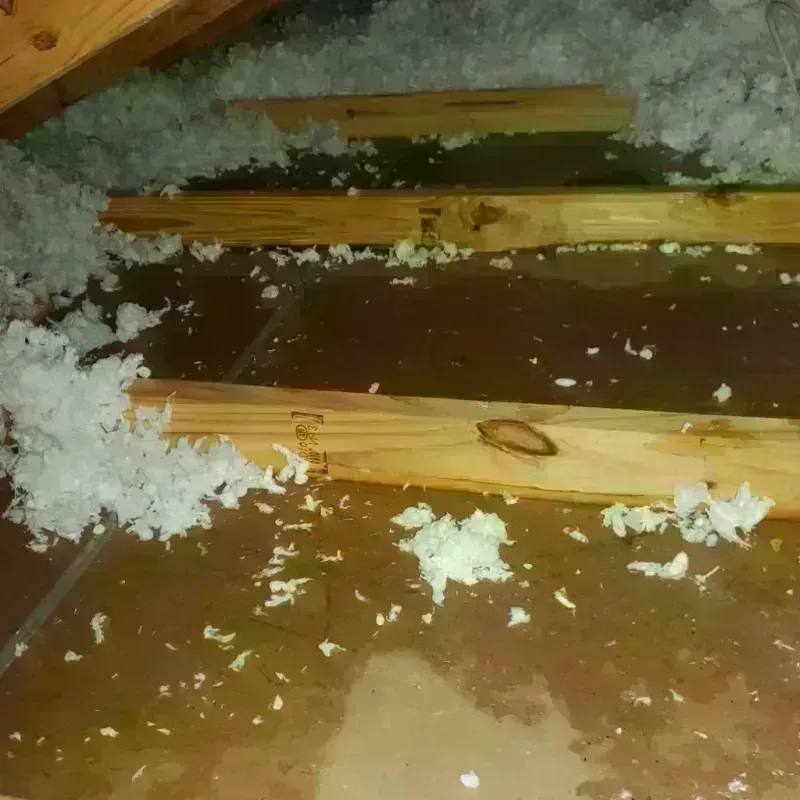 Attic Water Damage in South Bend, WA