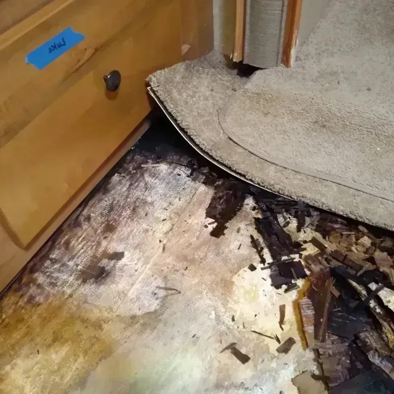 Wood Floor Water Damage in South Bend, WA